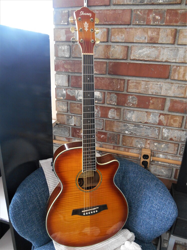 Ibanez Acoustic Electric Guitar 